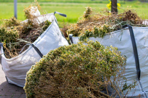 Best Construction Debris Removal  in Forty Fort, PA